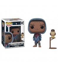 Pop! Games Hawthorne with Louis 337 Destiny