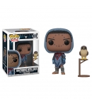 Pop! Games Hawthorne with Louis 337 Destiny