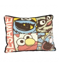 Cojín Barrio Sesamo Personajes