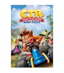 Poster Crash Team Racing Nitro Fueled, 91,5 x 61 cm
