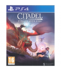 Citadel: Forget with Fire