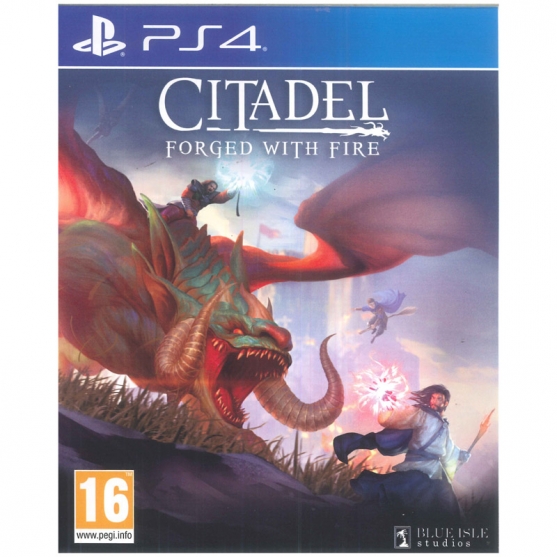 Citadel: Forget with Fire