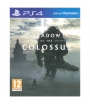 Shadow of the Colossus