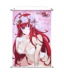 Poster Tela Enrollable High School DxD Hero Rias Gremory, 90 x 60 cm