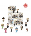Figura Sorpresa Harry Potter Mystery Minis 6 cm
