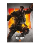 Poster Call of Duty Black Ops IIII Ruin, 91,5 x 61 cm