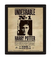 Cuadro 3d Lenticular Harry Potter y Sirius Black