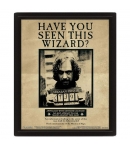 Cuadro 3d Lenticular Harry Potter y Sirius Black