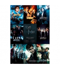 Poster Harry Potter Colección, 91,5 x 61 cm