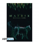 Poster The Matrix Resurrection, Gato, 91,5 x 61 cm