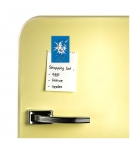 Iman de Nevera Sonic