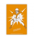 Iman de Nevera Naruto