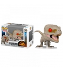 Pop! Movies Atrociraptor (Ghost) 1205 Jurassic World Dominion