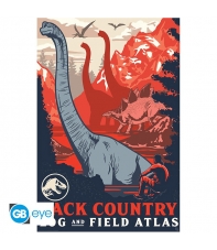 Poster Jurassic World Back Country, 91,5 x 61 cm