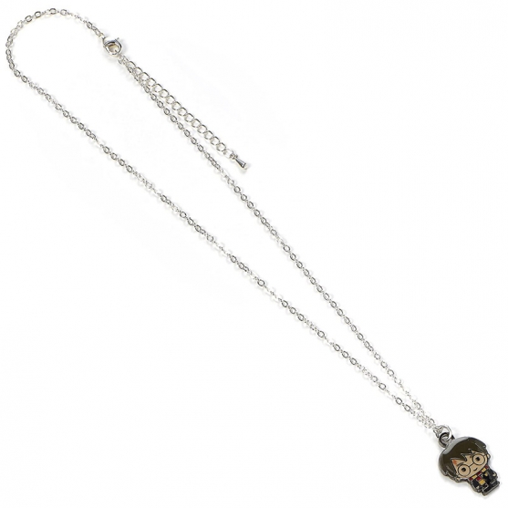 Cadena con Colgante Harry Potter, Harry Potter