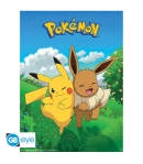 Pack 2 Posters Pokémon Gotta Catch, 52 x 38 cm