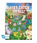 Pack 2 Posters Pokémon Gotta Catch, 52 x 38 cm