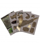 Puzzle 3d Jurassic World Dominion, T.Rex