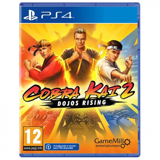 Cobra Kai 2 Dojos Rising