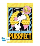 Poster Looney Tunes, Piolín y Silvestre Purrfect. 91,5 x 61 cm