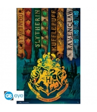 Poster Harry Potter Banderas 91,5 x 61 cm