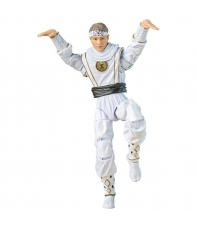 Figura Articulada Cobra Kai, Morphed Daniel Larusso White Crane Ranger Power Rangers Lightning Collection Hasbro 15 cm