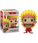 Pop! Wwe Ricky "The Dragon" Steamboat 121 WW