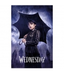 Poster Wednesday (Miércoles), Downpour 91,5 x 61 cm