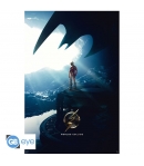 Poster Dc The Flash 91,5 x 61 cm