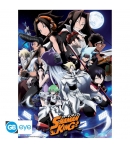 Poster Shaman King Lucha 52 x 38 cm