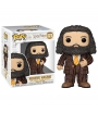Pop! Rubeus Hagrid 171 Harry Potter