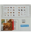 Nintendogs + Cats Golden Retriever, NINTENDO 3DS, PAL-ESP