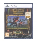 Harry Potter: Campeones De Quidditch