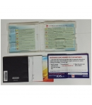 Caja y Manual Pokémon Ranger Sombras de Almia, Nintendo Ds, Pal-Esp, SIN JUEGO