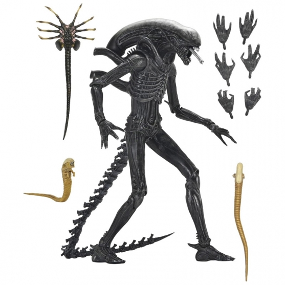 Figura Articulada Alien, Ultimate Xenomorph XX121 Neca 18 cm