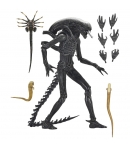 Figura Articulada Alien, Ultimate Xenomorph XX121 Neca 18 cm